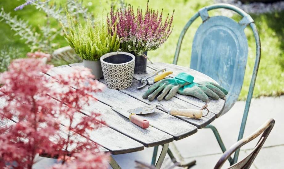 Jak tanie ogrodowe akcesoria mogą wspierać ekologiczne uprawy?