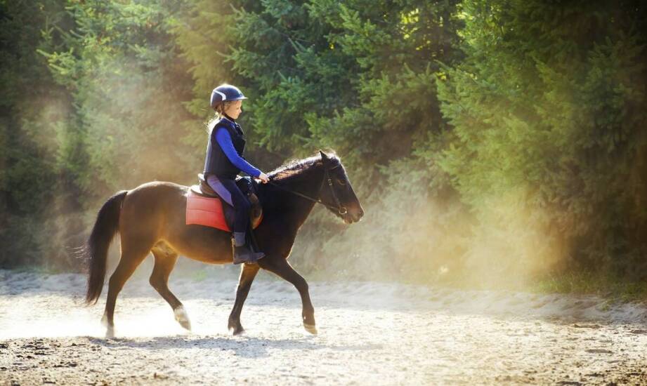 Stadnina koni nad morzem: wyjątkowa atrakcja podczas pobytu w naszym ośrodku.