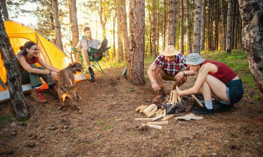 Poznaj nasze pole namiotowe – co oferujemy dla miłośników biwakowania?