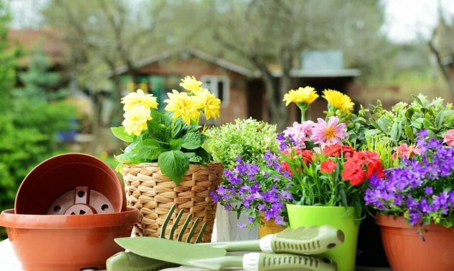Znaczenie pozaszkolnej edukacji w rozwoju zainteresowań seniorów