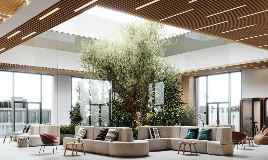 Naturalne dekoracje w pionowych ogrodach we wnętrzach biurowych