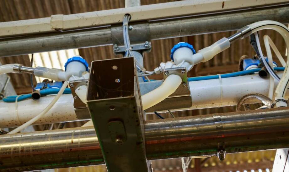 Zastosowanie konstrukcji stalowych w produkcji wag inwentarzowych