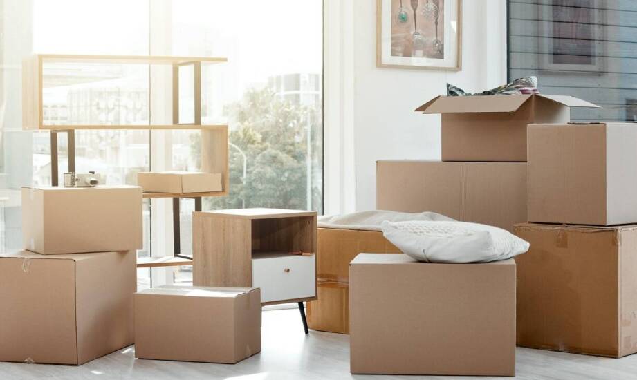 Kartony do książek a ochrona przed uszkodzeniami – co warto wiedzieć?