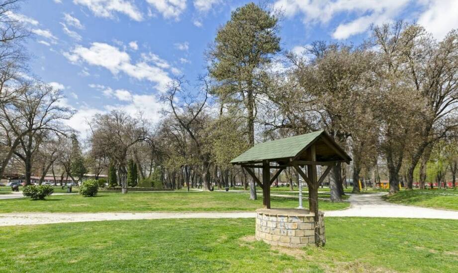 Jak dbać o czystość głębinowej studni i dlaczego to ważne?