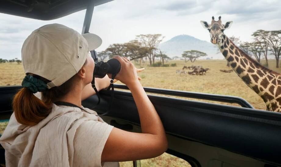 Wycieczki do RPA: Jakie atrakcje czekają na miłośników przyrody?