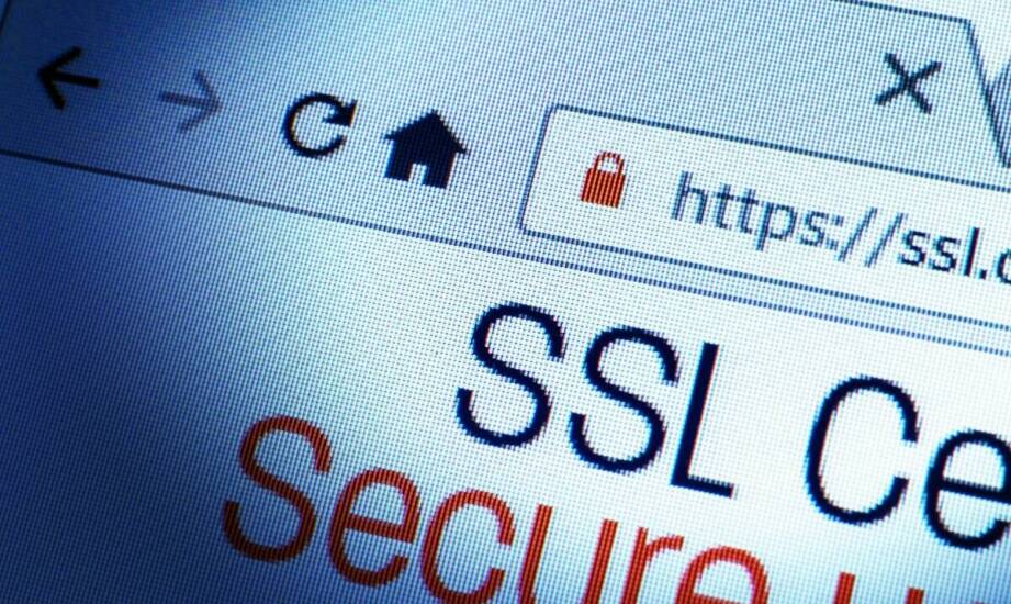 Jak uzyskać gwarancje przetargowe online w szybki i bezpieczny sposób?