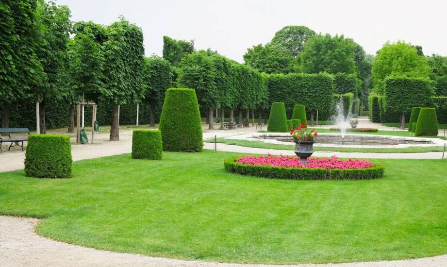 Jak nowoczesne odmiany drzew wpływają na estetykę publicznych przestrzeni?