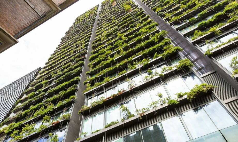 System ogrodów wertykalnych jako sposób na zwiększenie wartości nieruchomości