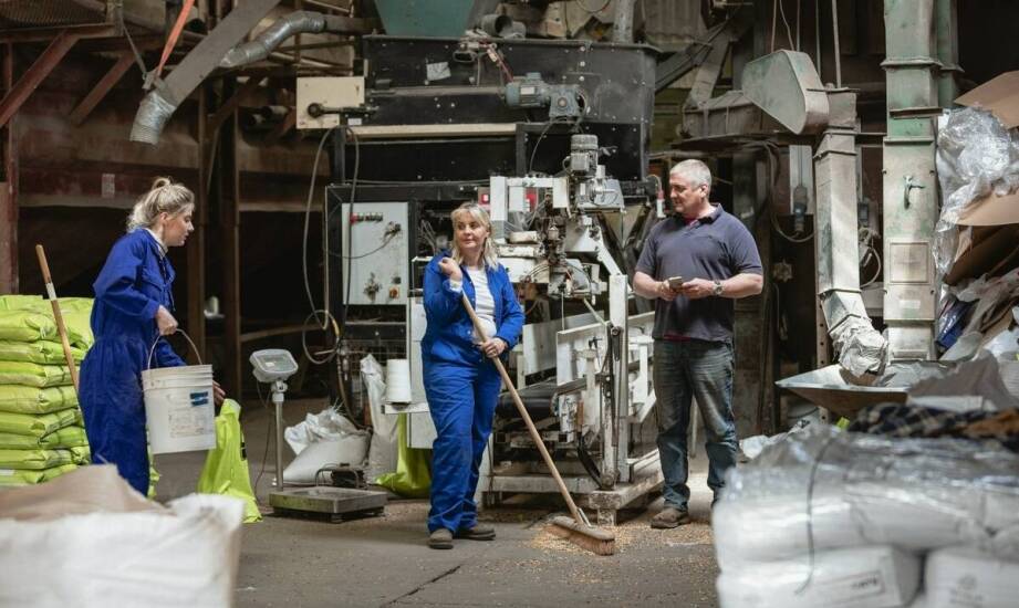 Jakie innowacyjne podejścia stosują producenci pasz w zakresie żywienia chlewnej trzody?