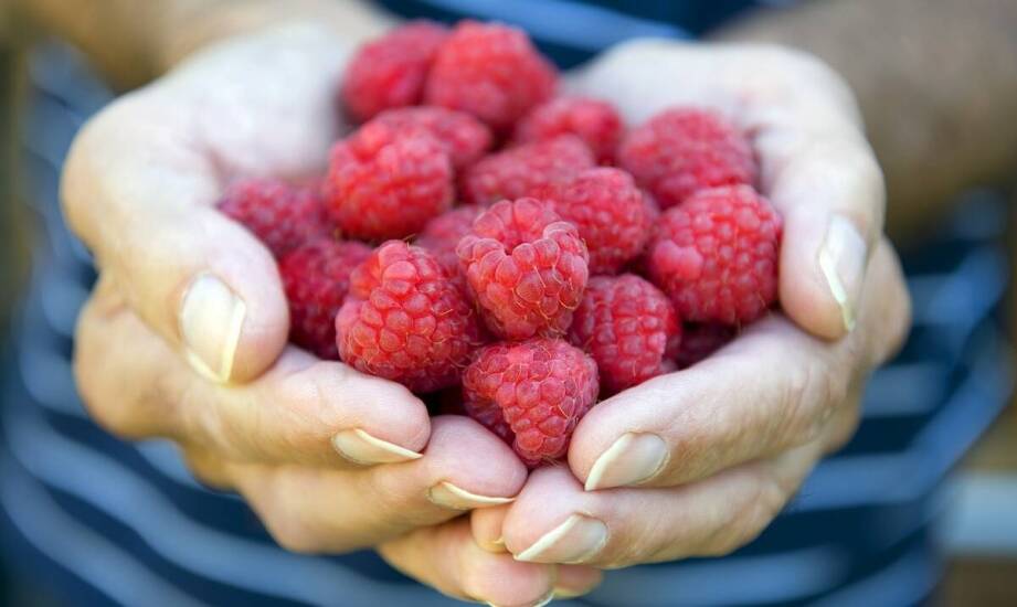 Liofilizowana malina jako składnik naturalnych dodatków do żywności: zalety