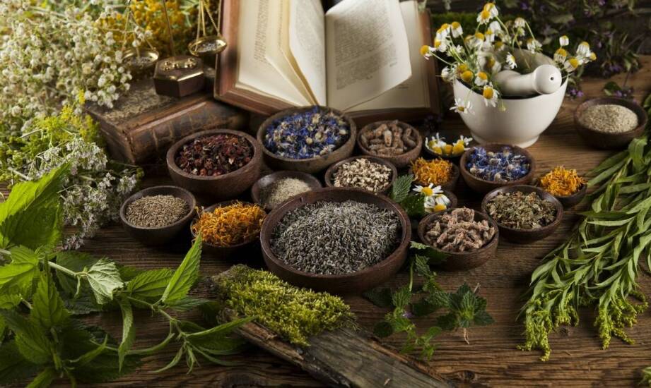 Jak suszone zioła i rośliny mogą wzbogacić dietę gryzoni?