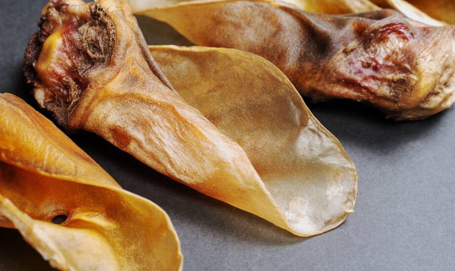 Rola producenta wieprzowych uszu w modernizacji przetwórstwa mięsnego