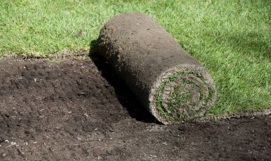 Porady dotyczące długotrwałej kondycji trawnika z rolki.