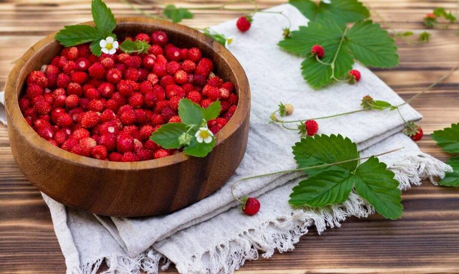 Jak liofilizowane truskawki wpływają na poziom energii w ciągu dnia?