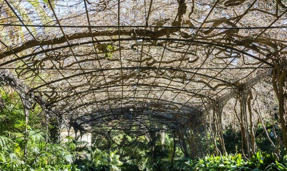 Dekoracyjna podpora do pnących kwiatów w ogrodzie zimowym