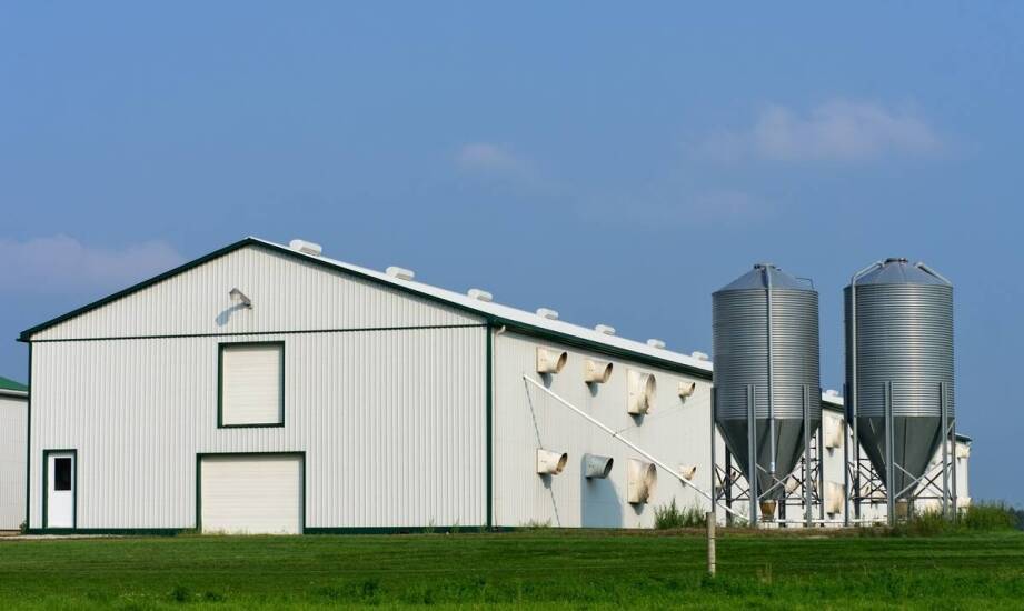 Nowoczesne rozwiązania w budowie hodowlanych obiektów a prawo budowlane