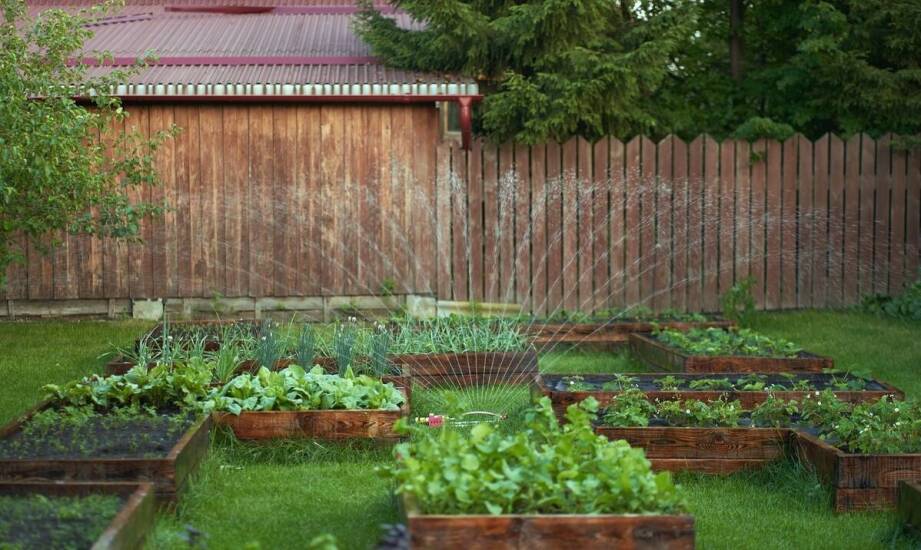 Czy lokalizacja ogrodu wpływa na wybór środka przeciw mrówkom?