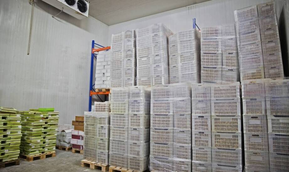 Odporność plastikowych kontenerów na skrajne temperatury w magazynach