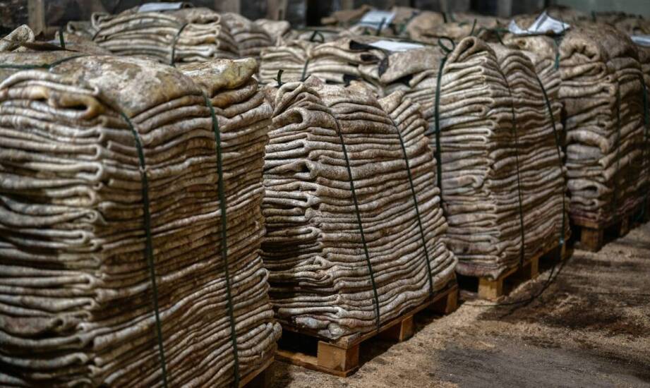 Rola hurtowni w dostarczaniu wysokiej jakości bawełnianych tkanin dla dzieci