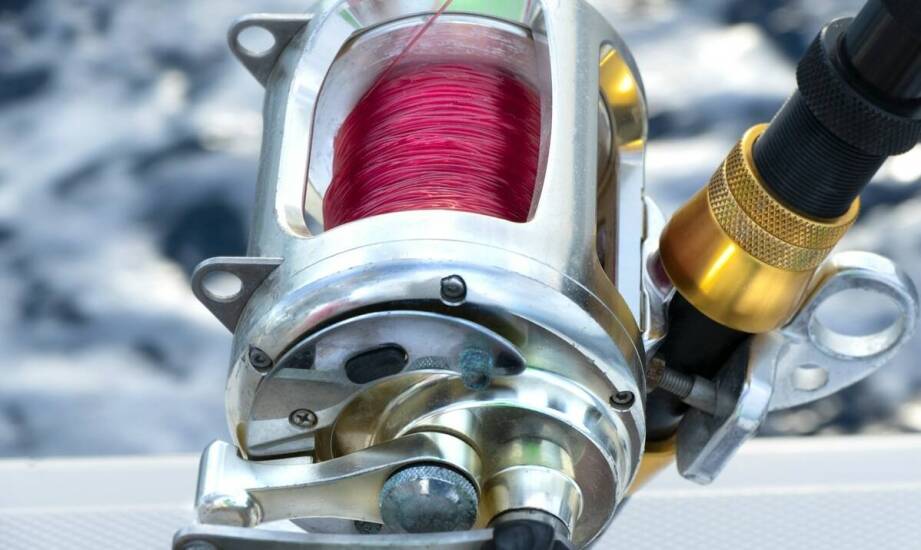 Kołowrotek Rex – jak zwiększyć jego wydajność podczas połowów?