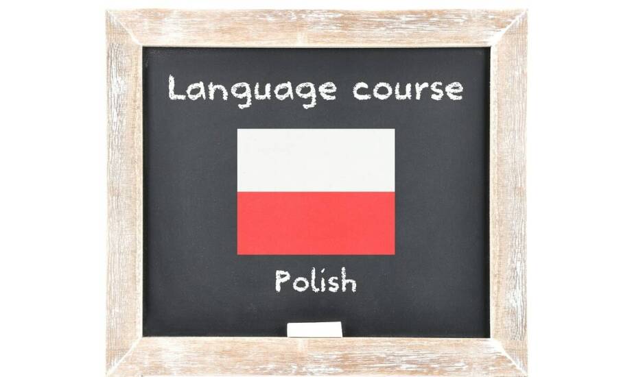 Jakie umiejętności zdobywasz na kursie języka migowego w szkole policealnej?