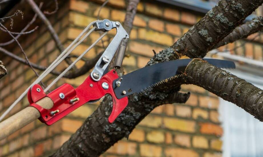 Jakie są korzyści z używania szablastych pił w pracach ogrodowych?