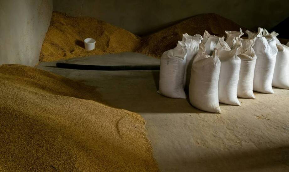 Rola magazynowania w utrzymaniu jakości zboża