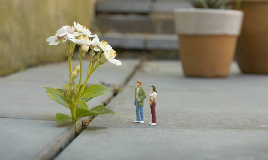 Sztuka w ogrodzie - rola ceramicznych figurek w kreowaniu przestrzeni