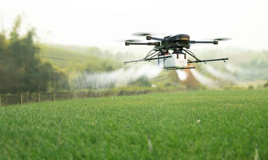 Nowoczesna automatyzacja oprysków malin dzięki technologiom