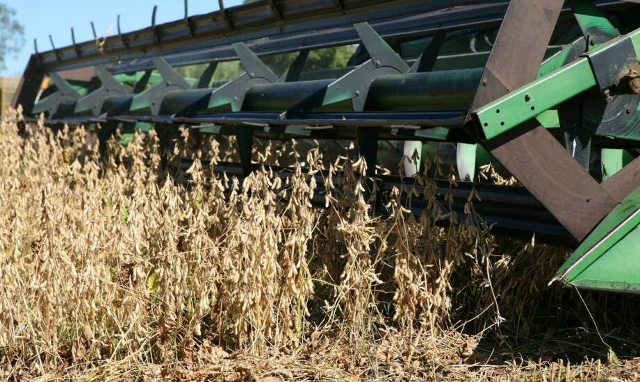 Jakie są kluczowe cechy sit dla kombajnów na wymiar?