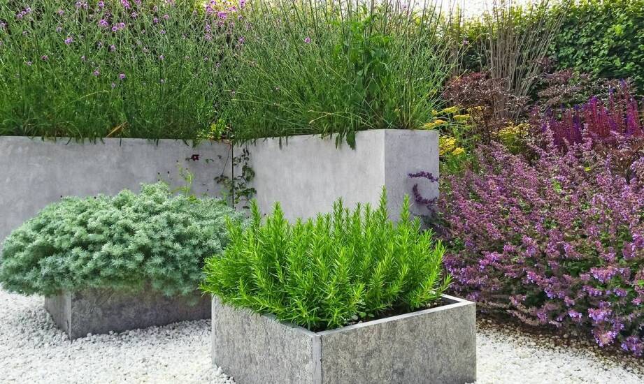 Jak współczesne trendy wpływają na projektowanie ogrodowych donic na wymiar?