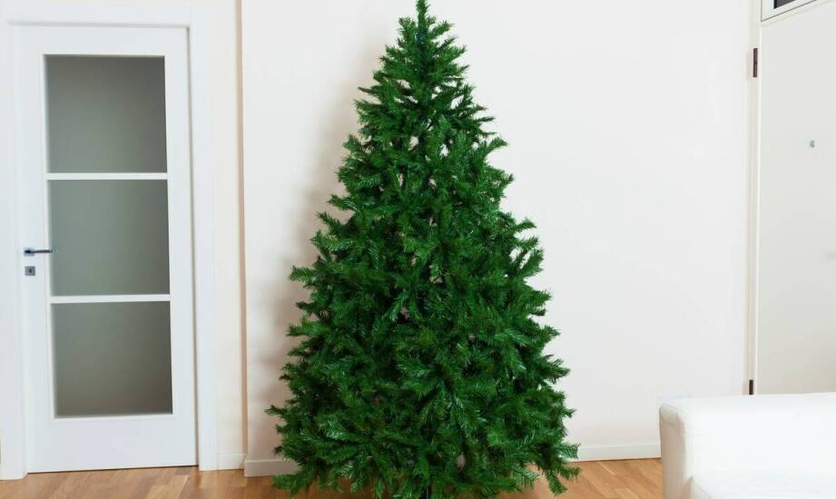 Jak choinka na długim pniu wpływa na estetykę we wnętrzu?