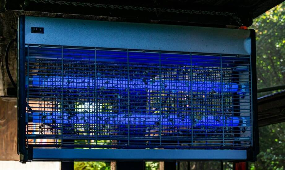 Porównanie skuteczności ultradźwiękowych i elektromagnetycznych odstraszaczy