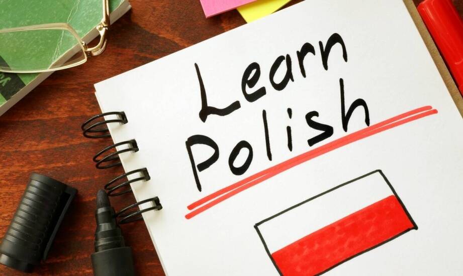 Jakie są zalety korzystania z jednojęzycznych książek w nauce języków romańskich?