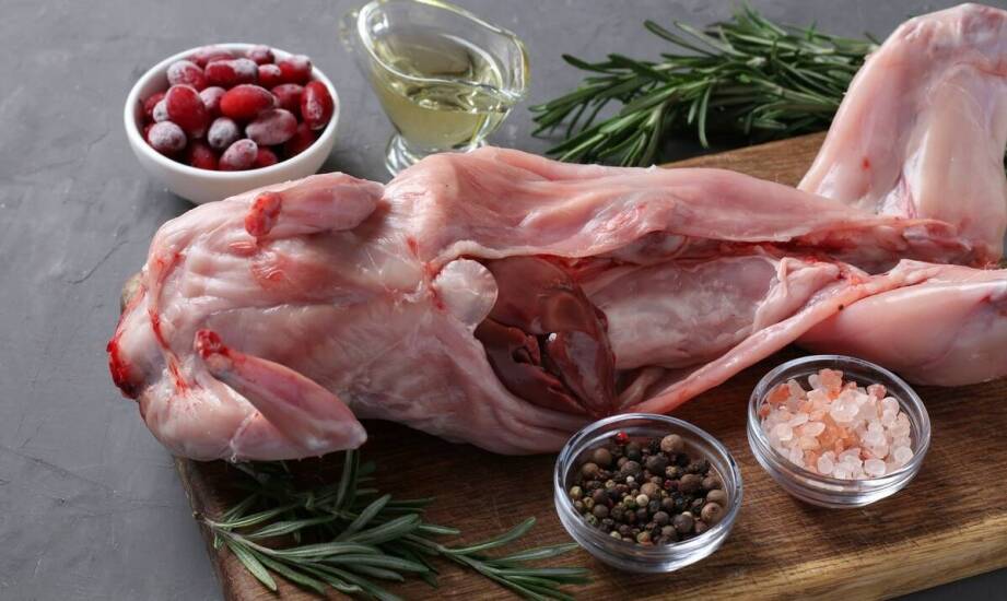 Jak surowe mięso królika wspomaga zdrowie i witalność pupila?