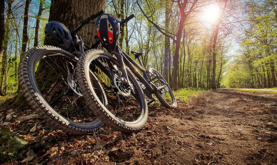 Jakie rowery najlepiej sprawdzają się na szlakach górskich?
