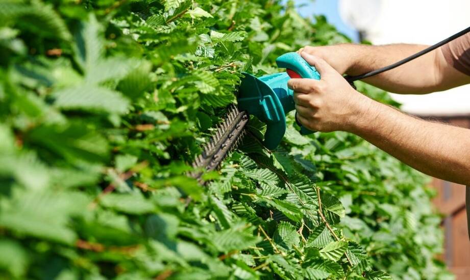 Zalety korzystania z Bosch Isio w pracach przydomowych