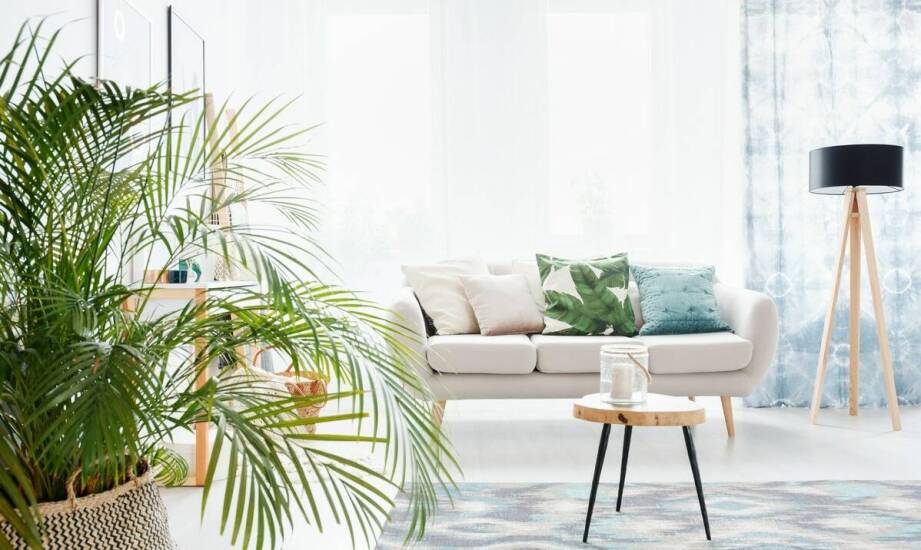 Jakie są najnowsze trendy w dekoracji wnętrz z użyciem koralowej palmy?