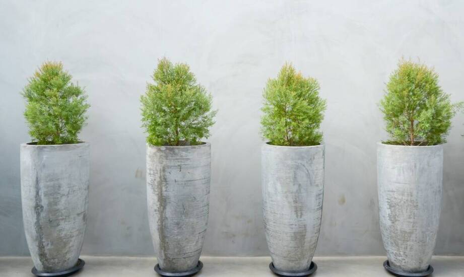 Różnorodność kształtów betonowych donic: od okrągłych po trójkątne