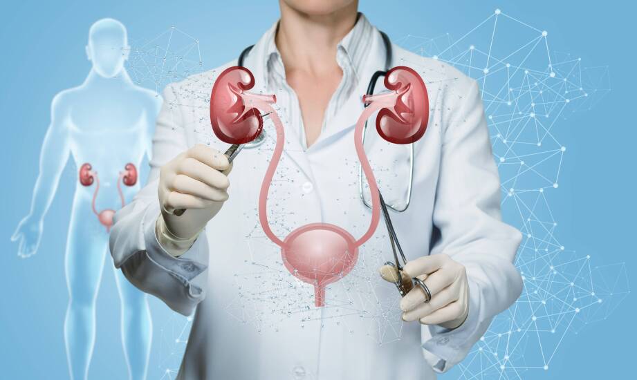 Diagnostyka i leczenie chorób układu moczowo-płciowego
