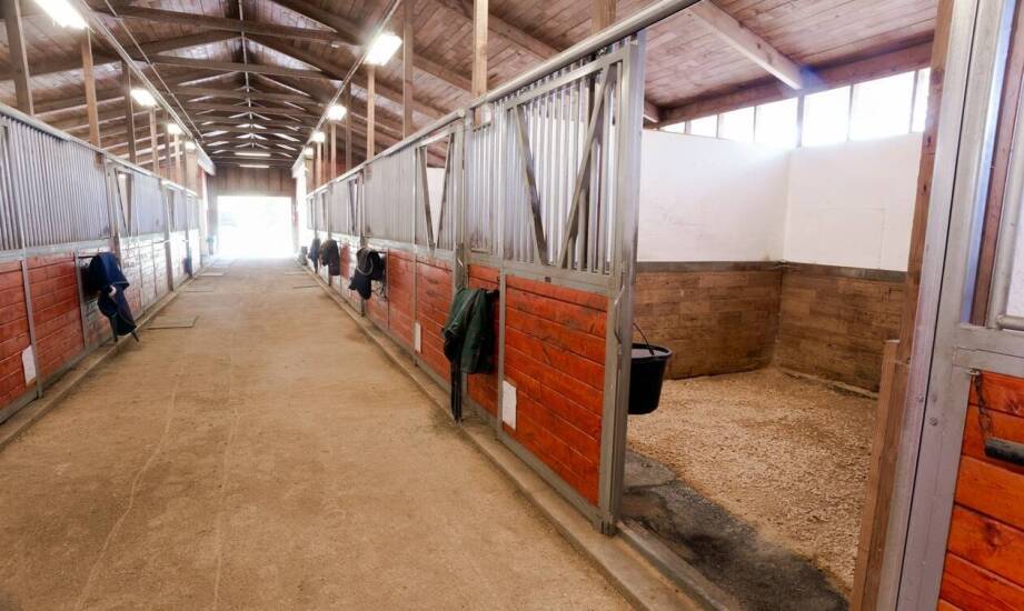 Jakie możliwości personalizacji oferują producenci solariów dla koni?