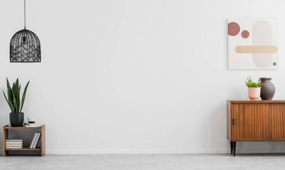 Sansewieria Coppertone w minimalistycznych aranżacjach – inspiracje i pomysły