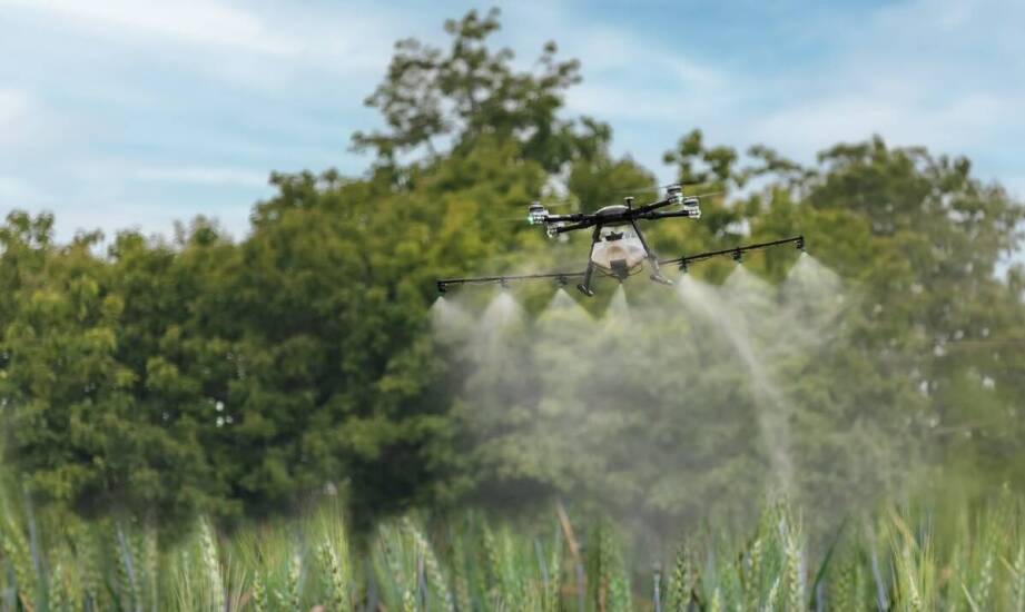 Technologie wspomagające ochronę przed szkodnikami borówek