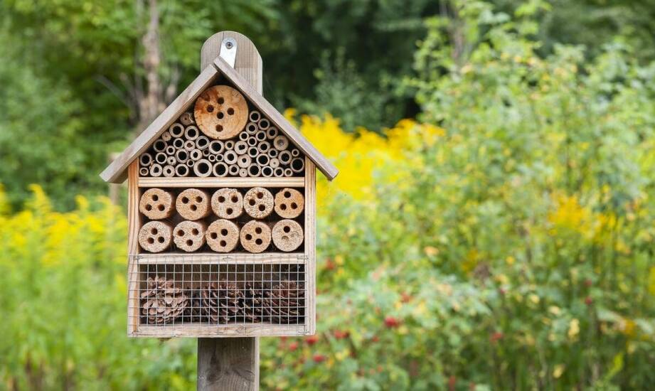 Estetyka i funkcjonalność domków dla motyli – jak je połączyć?