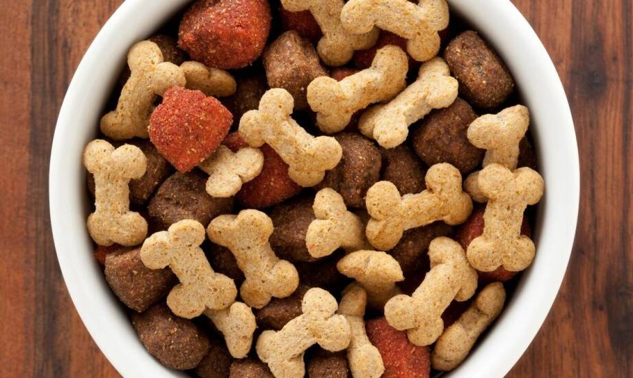 Mięso z jelenia w karmie – dlaczego jest tak wartościowe?