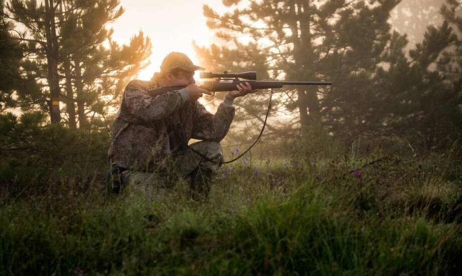 Zastosowanie noktowizji w polowaniach na grzywacze – czy warto?