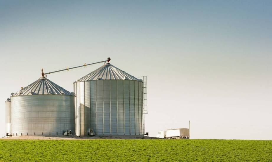 Optymalne warunki do przechowywania zbóż w nowoczesnych magazynach