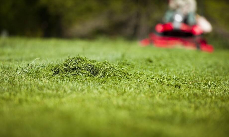 Mulczowanie jako efektywna metoda zatrzymywania wilgoci w glebie