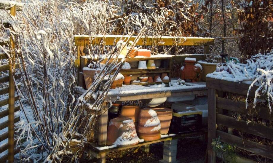 Inspiracje do wykorzystania dekoracyjnych wałków w ogrodzie zimowym