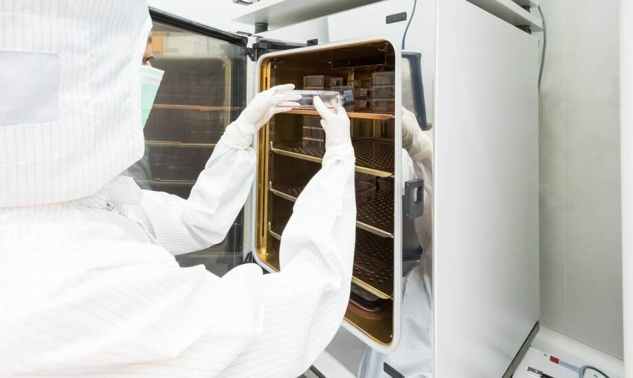 Skuteczne metody deratyzacji w farmaceutycznej branży